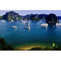 Halong Bay day cruise to Sung Sot cave - Titop Island