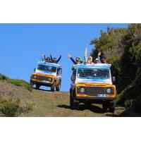 Half-Day or Full-Day Jeep Safari Tours