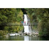 Half-Day Milford Track Guided Hiking Tour