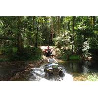 half day atv 4 wheel buggy rainforest day trip from cairns