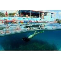 Half-Day Boat Tour of Fernando de Noronha