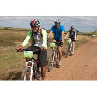 Half-Day Battambang Bike Tour Including Lunch