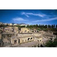 Half-Day Herculaneum Coach Tour