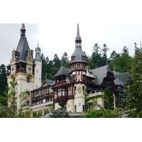 half day peles castle and museum tour from bucharest