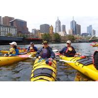 half day melbourne kayak tour