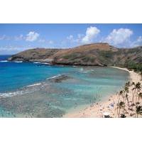 Hanauma Bay Guided Snorkel Tour with Underwater Photos