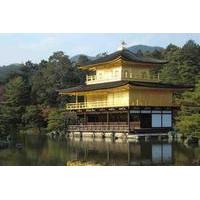 Half Day Tour of Nijo Castle and Golden Pavilion in Kyoto