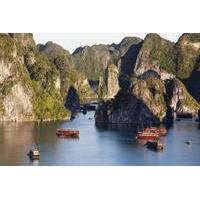 Halong Bay Small Group Adventure Tour including Cruise from Hanoi