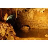 Harrison\'s Cave and Carlisle Bay Half-Day Tour