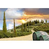 Half-Day Afternoon Chianti Tour from Montecatini