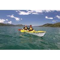 half day guided sea kayak tour from picton