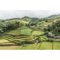 Hanoi 5-Day Hill Tribe Villages Tour to Ha Giang, Dong Van, Meo Vac and Lung Cu