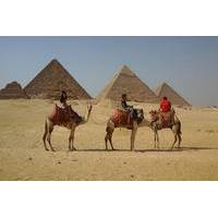 half day tour visiting giza pyramids and sphinx by camel