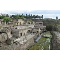 Half Day Morning Tour of Herculaneum from Sorrento