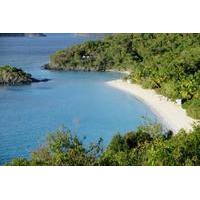 Half-Day Tour to Trunk Bay Beach from St. Thomas