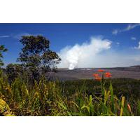 Hawaii Volcano Eco-Adventure Day Trip from Oahu