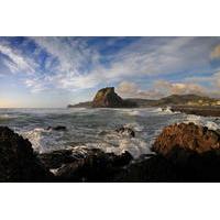 Half-Day Wild West Coast Tour including Lunch from Auckland