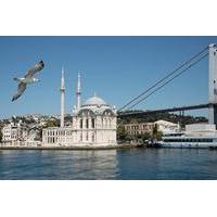 Hagia Sophia and Topkapi Palace Private Guided Tour From Istanbul