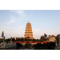 half day private city tour of shaanxi history museum and big wild goos ...
