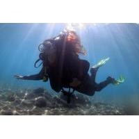 half day scuba diving tour in gran canaria with transfers