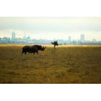 Half-Day Nairobi National Park Tour from Nairobi