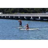 Half-Hour Stand-Up Paddle Board Rental in Daytona Beach