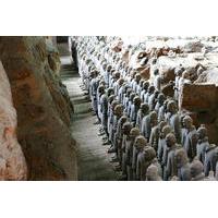Half-day Private Tour of Terracotta Warriors and Horses Museum