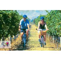 hawkes bay wineries self guided bike tour