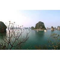 halong bay day cruise including seafood lunch from hanoi