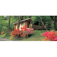 hakone en cottage west