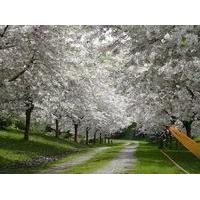 Haurata - High Country Retreat