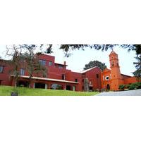 Hacienda San Mart&Atilde;&shy;n