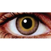 Hazel Bronze 1 Month Coloured Contact Lenses (MesmerEyez Infusionz)