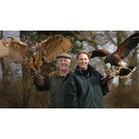 hands on falconry taster in warwickshire