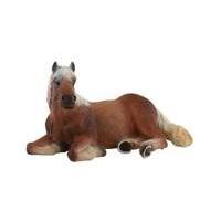 Haflinger Stallion