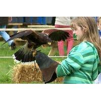 hands on animal experience for two