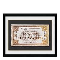 Harry Potter Ticket - 30x40 Collector Prints