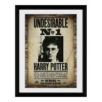 Harry Potter Undesirable No 1 - 30x40 Collector Prints