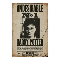 Harry Potter Undesirable No 1 - Maxi Poster - 61 x 91.5cm