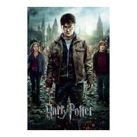 Harry Potter 7 Part 2 One Sheet - Maxi Poster - 61 x 91.5cm
