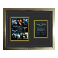 Harry Potter Collection - High End Framed Photo - 16 x 20
