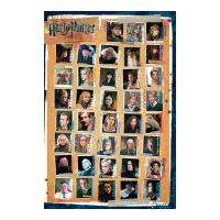 harry potter 7 characters maxi poster 61 x 915cm