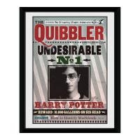 Harry Potter The Quibbler - 8x6 Framed Photographic