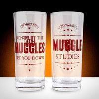 Harry Potter Set Of 2 Glasses - Muggles