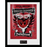 Harry Potter Triwizard Durmstrang Print
