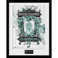 Harry Potter Triwizard Beaux Batons Print