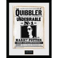 Harry Potter Quibler Poster