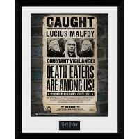 Harry Potter Lucius Malfoy Poster