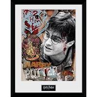 harry potter framed photograph 16 x 12 inches