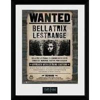 Harry Potter Bellatrix Lestrange Poster